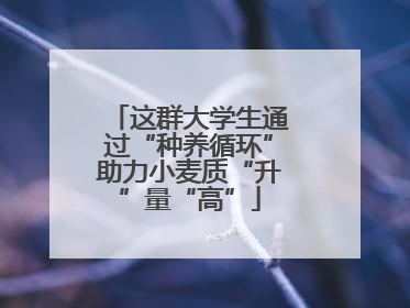 这群大学生通过“种养循环”助力小麦质“升”量“高”