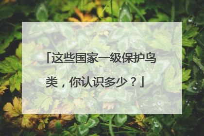 这些国家一级保护鸟类，你认识多少？