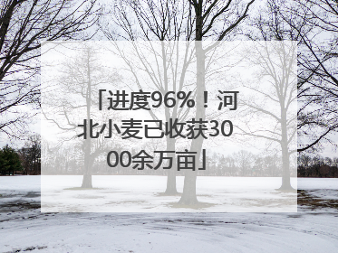 进度96%！河北小麦已收获3000余万亩