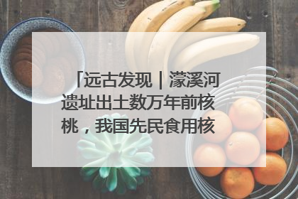 远古发现｜濛溪河遗址出土数万年前核桃，我国先民食用核桃历史大幅提前