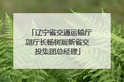 辽宁省交通运输厅副厅长杨树履新省交投集团总经理