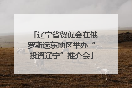 辽宁省贸促会在俄罗斯远东地区举办“投资辽宁”推介会