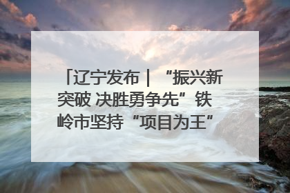 辽宁发布｜“振兴新突破 决胜勇争先”铁岭市坚持“项目为王”推进经济高质量发展