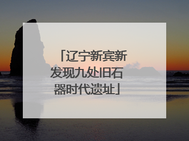 辽宁新宾新发现九处旧石器时代遗址