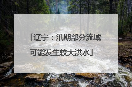 辽宁：汛期部分流域可能发生较大洪水