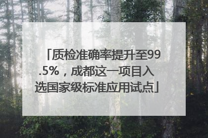 质检准确率提升至99.5%，成都这一项目入选国家级标准应用试点