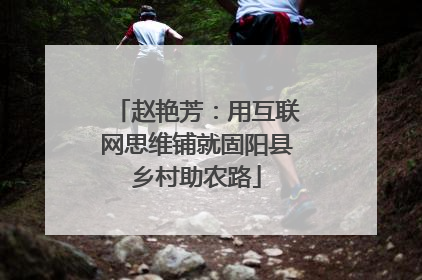 赵艳芳：用互联网思维铺就固阳县乡村助农路