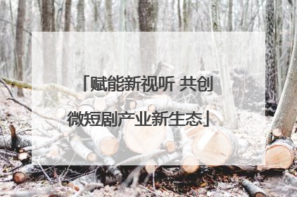 赋能新视听 共创微短剧产业新生态