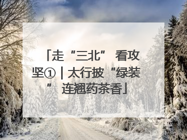 走“三北” 看攻坚①｜太行披“绿装” 连翘药茶香