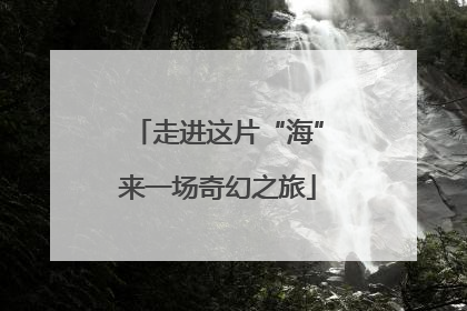 走进这片“海”来一场奇幻之旅