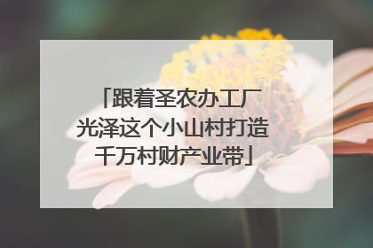 跟着圣农办工厂 光泽这个小山村打造千万村财产业带