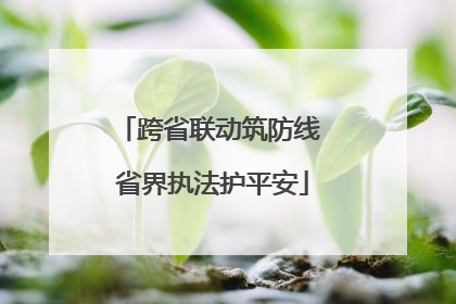 跨省联动筑防线 省界执法护平安