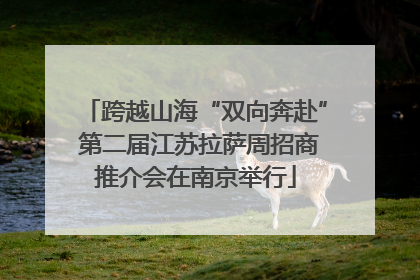 跨越山海“双向奔赴” 第二届江苏拉萨周招商推介会在南京举行