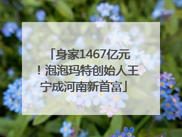 身家1467亿元！泡泡玛特创始人王宁成河南新首富