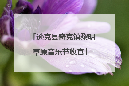 逊克县奇克镇黎明草原音乐节收官