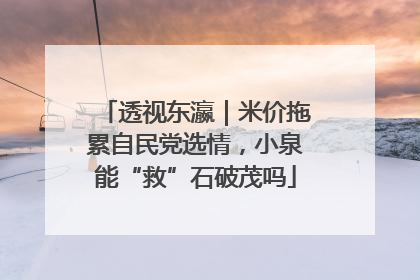透视东瀛｜米价拖累自民党选情，小泉能“救”石破茂吗