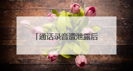 通话录音遭泄露后被要求下台 泰国总理佩通坦致歉