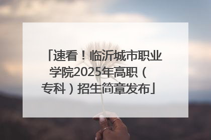 速看！临沂城市职业学院2025年高职（专科）招生简章发布