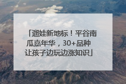 遛娃新地标！平谷南瓜嘉年华，30+品种让孩子边玩边涨知识