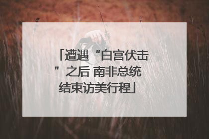 遭遇“白宫伏击”之后 南非总统结束访美行程
