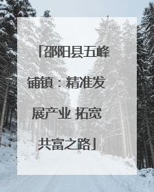 邵阳县五峰铺镇：精准发展产业 拓宽共富之路