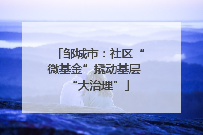 邹城市：社区“微基金”撬动基层“大治理”