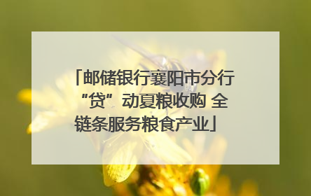 邮储银行襄阳市分行“贷”动夏粮收购 全链条服务粮食产业