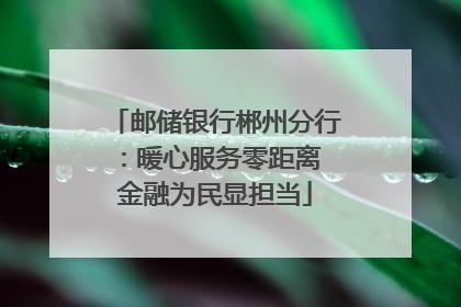 邮储银行郴州分行：暖心服务零距离 金融为民显担当