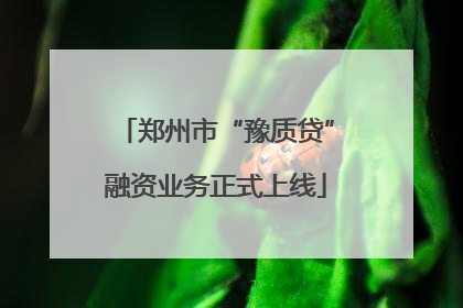郑州市“豫质贷”融资业务正式上线