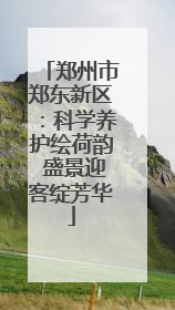 郑州市郑东新区：科学养护绘荷韵 盛景迎客绽芳华