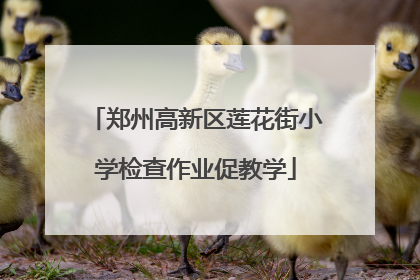 郑州高新区莲花街小学检查作业促教学