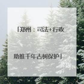 郑州：司法+行政助推千年古树保护