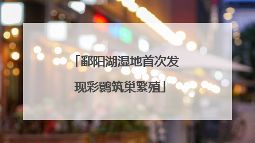 鄱阳湖湿地首次发现彩鹮筑巢繁殖