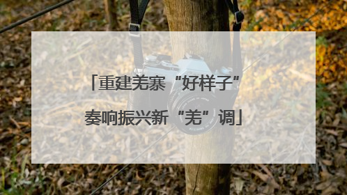 重建羌寨“好样子” 奏响振兴新“羌”调