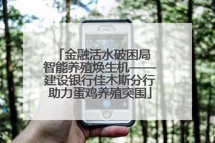 金融活水破困局 智能养殖焕生机——建设银行佳木斯分行助力蛋鸡养殖突围