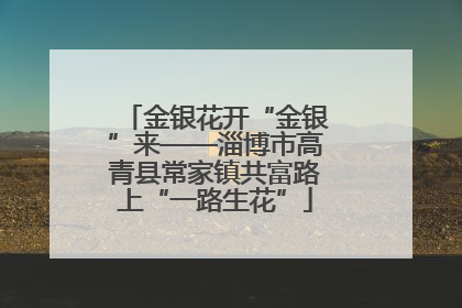 金银花开“金银”来——淄博市高青县常家镇共富路上“一路生花”