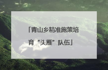 青山乡精准施策培育“头雁”队伍