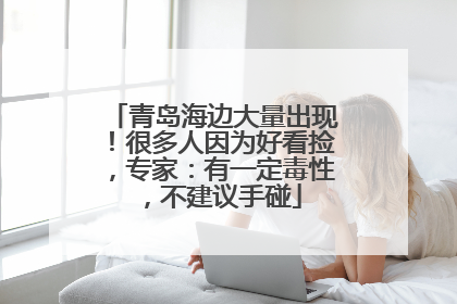 青岛海边大量出现！很多人因为好看捡，专家：有一定毒性，不建议手碰