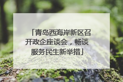 青岛西海岸新区召开政企座谈会，畅谈服务民生新举措