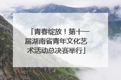 青春绽放！第十一届湖南省青年文化艺术活动总决赛举行