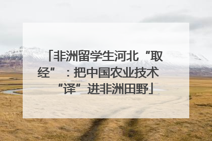 非洲留学生河北“取经”：把中国农业技术“译”进非洲田野