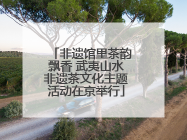 非遗馆里茶韵飘香 武夷山水非遗茶文化主题活动在京举行