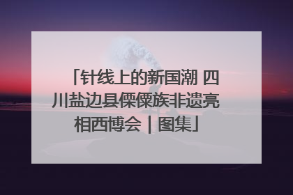 针线上的新国潮 四川盐边县傈僳族非遗亮相西博会｜图集