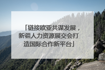 链接欧亚共谋发展，新疆人力资源展交会打造国际合作新平台
