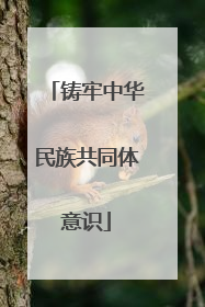 铸牢中华民族共同体意识