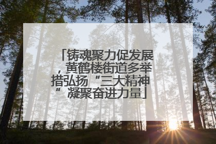 铸魂聚力促发展，黄鹤楼街道多举措弘扬“三大精神”凝聚奋进力量