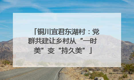 铜川宜君东湖村：党群共建让乡村从“一时美”变“持久美”