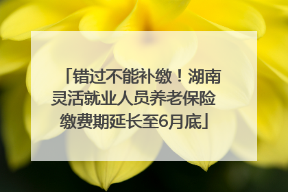 错过不能补缴！湖南灵活就业人员养老保险缴费期延长至6月底