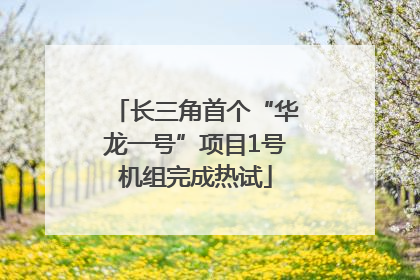 长三角首个“华龙一号”项目1号机组完成热试
