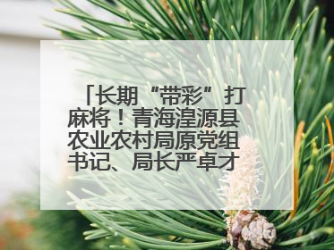 长期“带彩”打麻将！青海湟源县农业农村局原党组书记、局长严卓才被“双开”